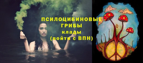 бутират Богородицк