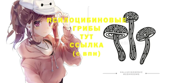 первитин Богородск