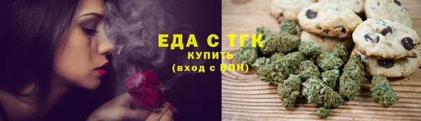 гашик Богданович