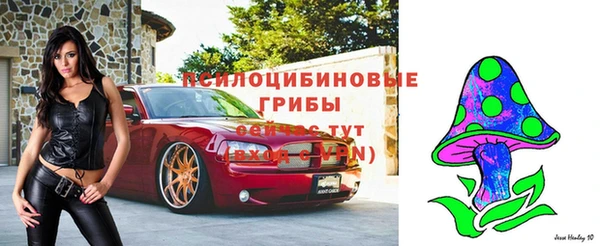 гашик Богданович