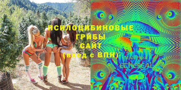 молекула духа Белокуриха