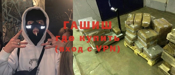 гашик Богданович
