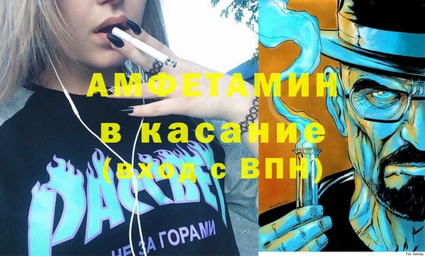 гашик Богданович